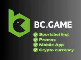 Experience the Thrill of Poker at BC.Game -242974530