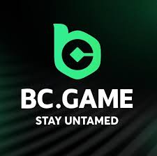 How to Login to BC Game A Comprehensive Guide -218507874 How to Login to BC Game A Comprehensive Guide -218507874